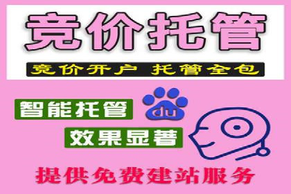 企业SEM托管服务成功案例分享